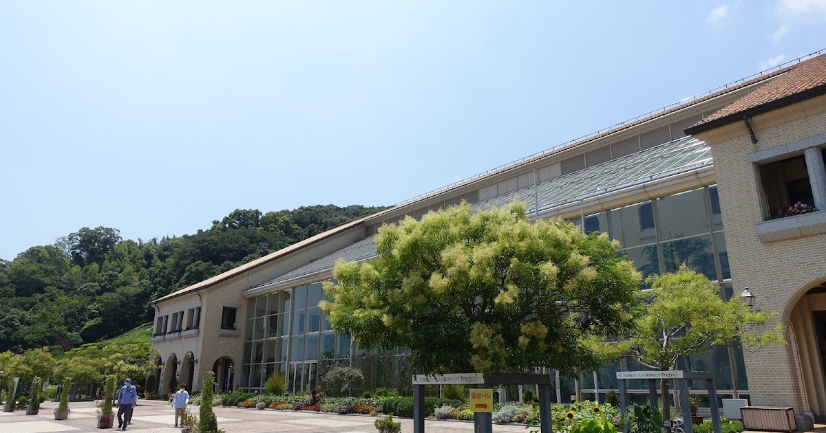 すし富淡路島サクラマス寿司