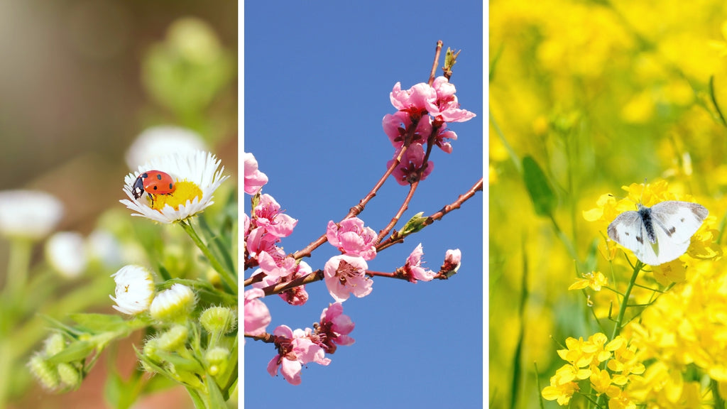 Trend visualization for 啓蟄