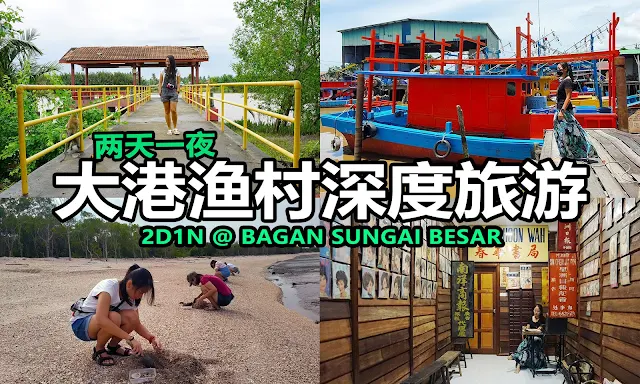 Trend visualization for 大港