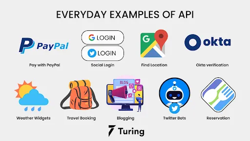 API Usage Example