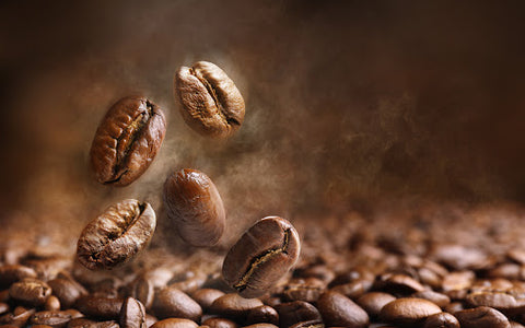 Arabica Coffee Bean