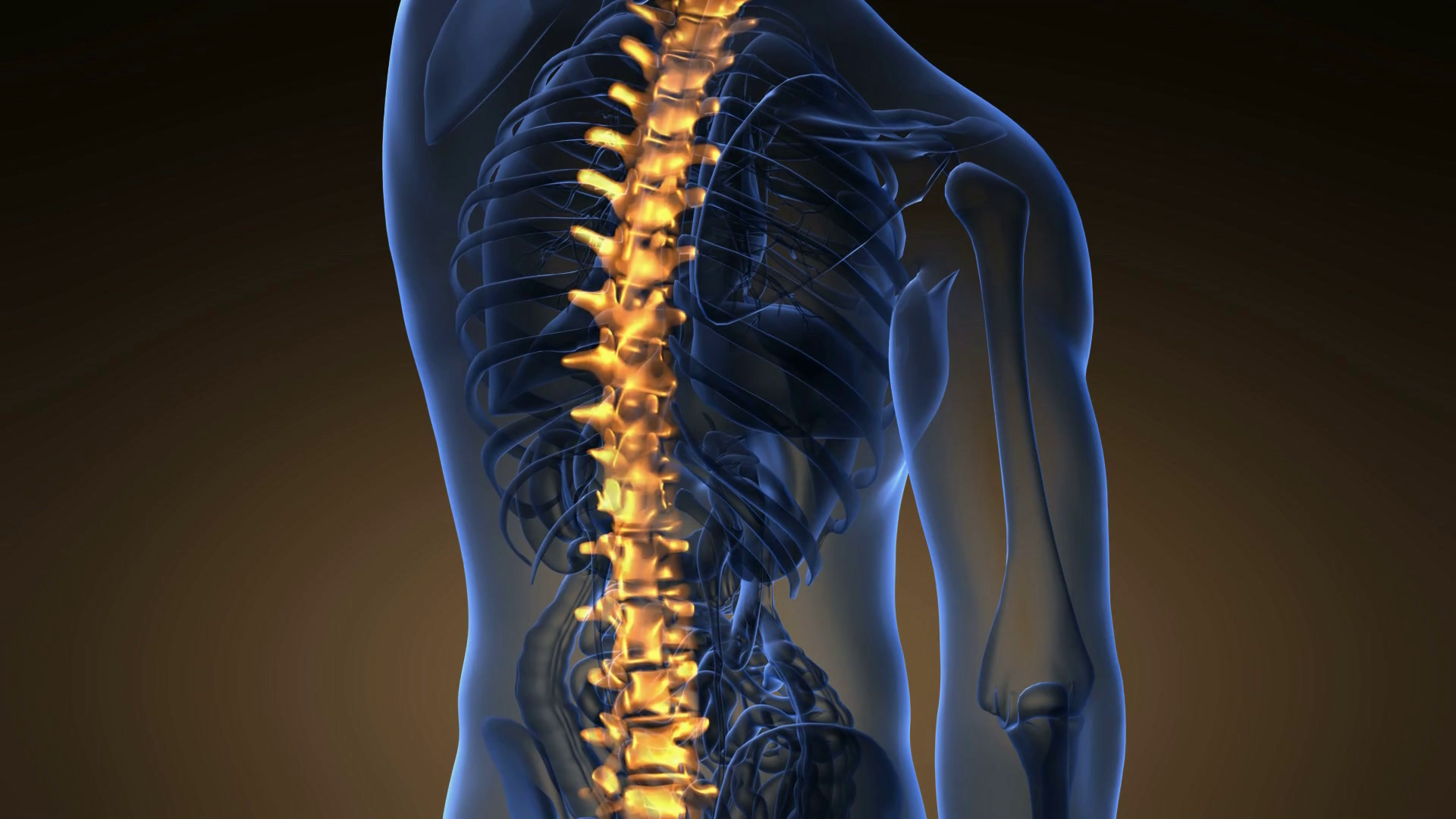 Backbone.js 模型