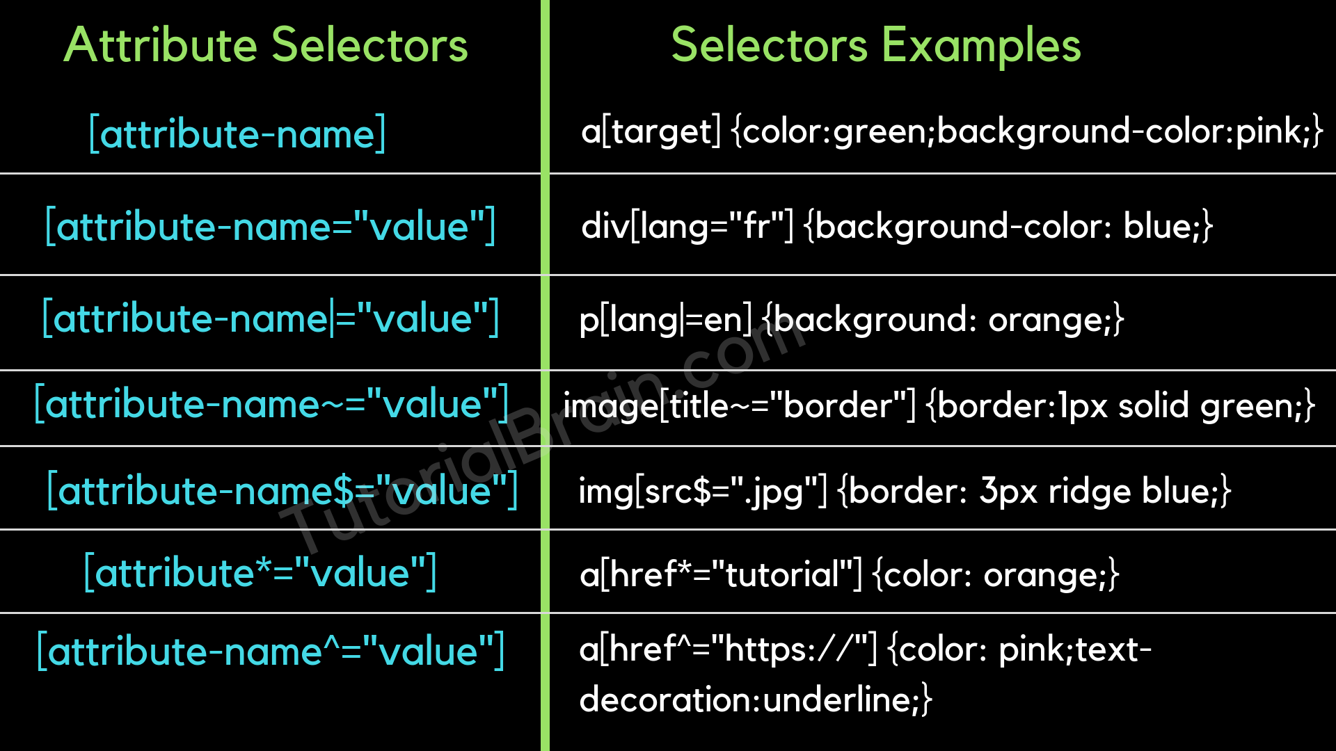 CSS_Attribute_Selector