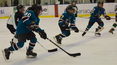 California youth hockey game