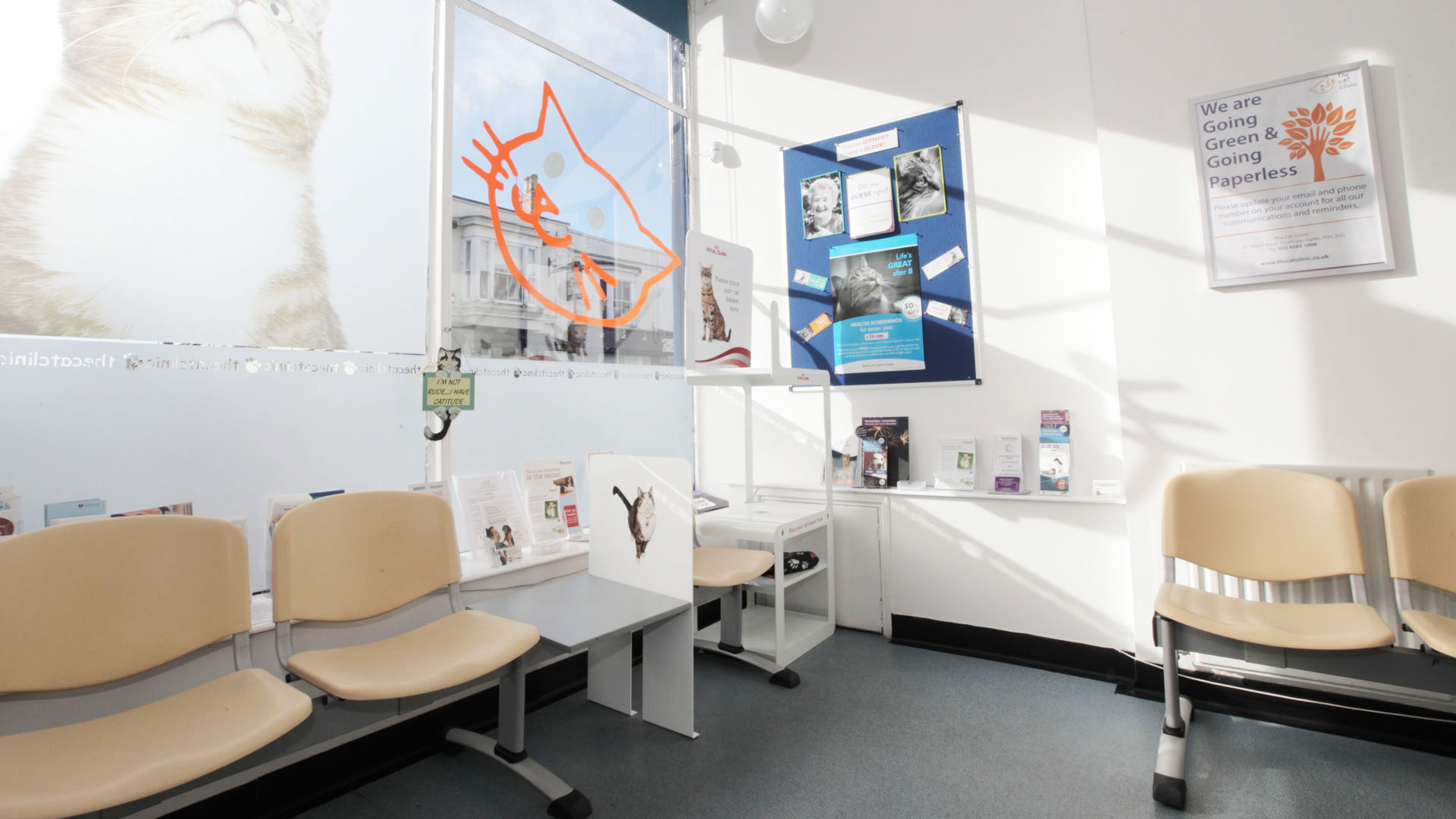 Cat Health Center