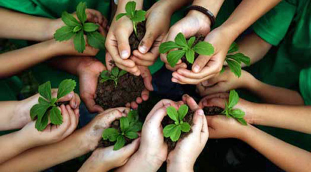 Environmental_Education