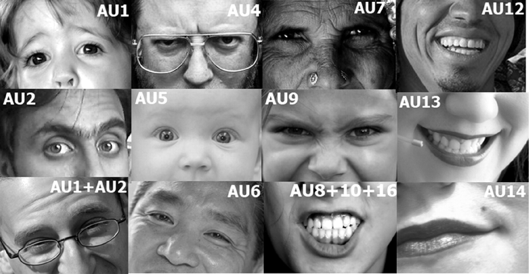 Face Recognition in Action