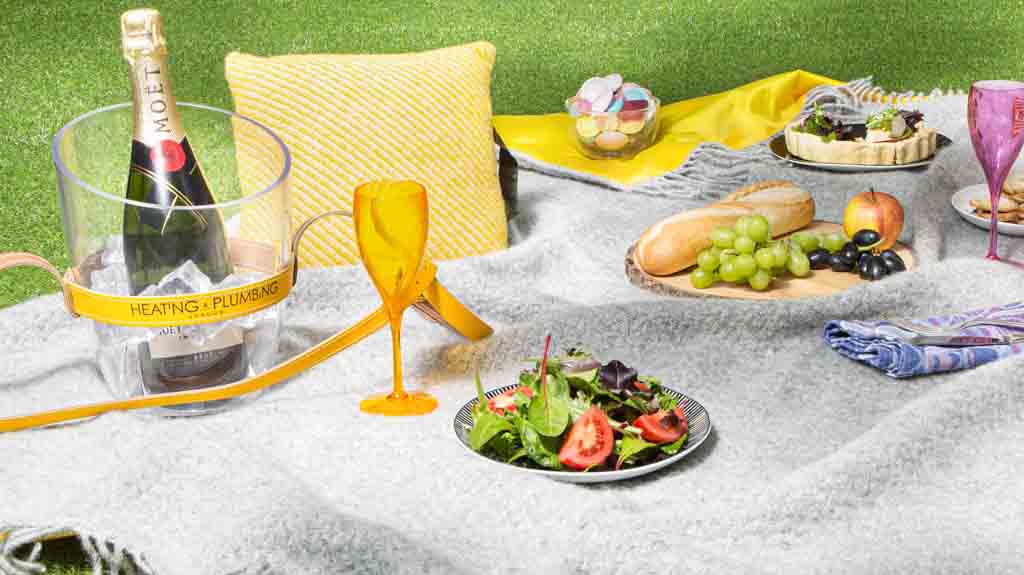 Picnic Setup