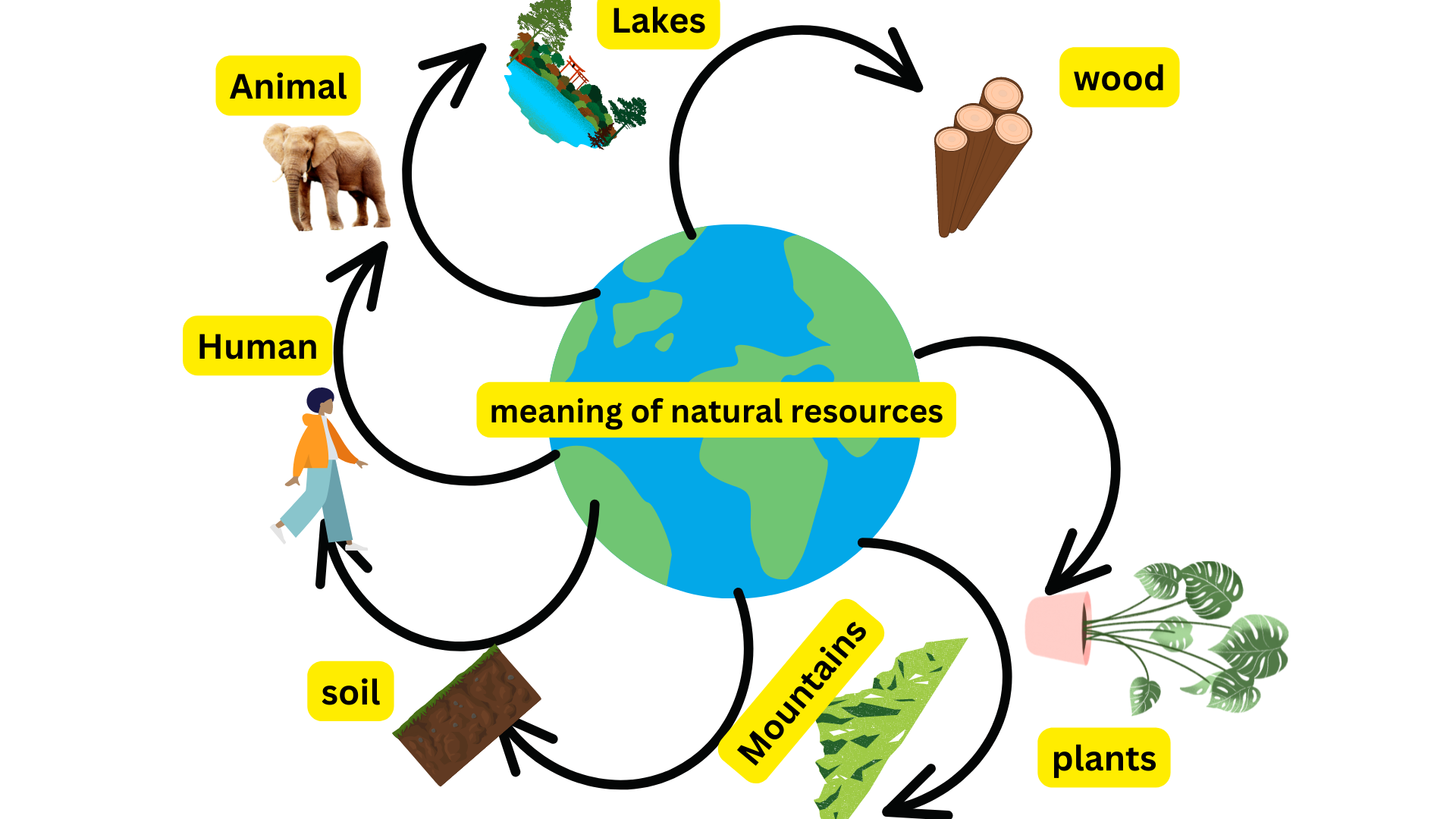 Resource Schema