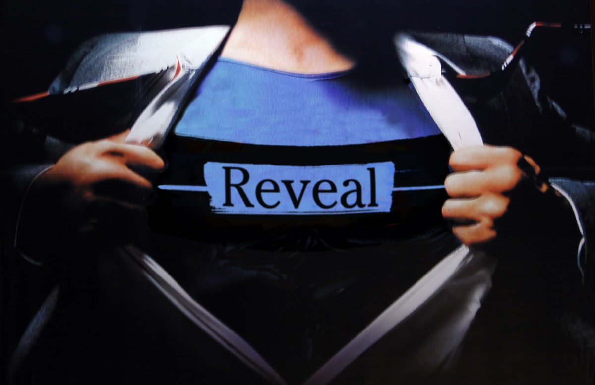 Reveal Logo