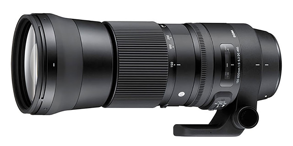 Sports photography with Sigma 150-600mm F5-6-3 DG OS HSM Sports Lens