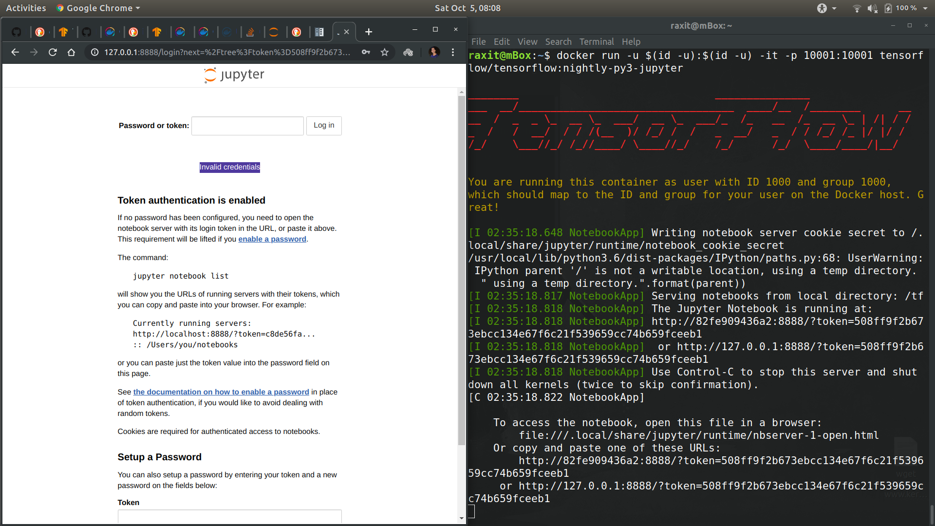 TensorFlow_Nightly