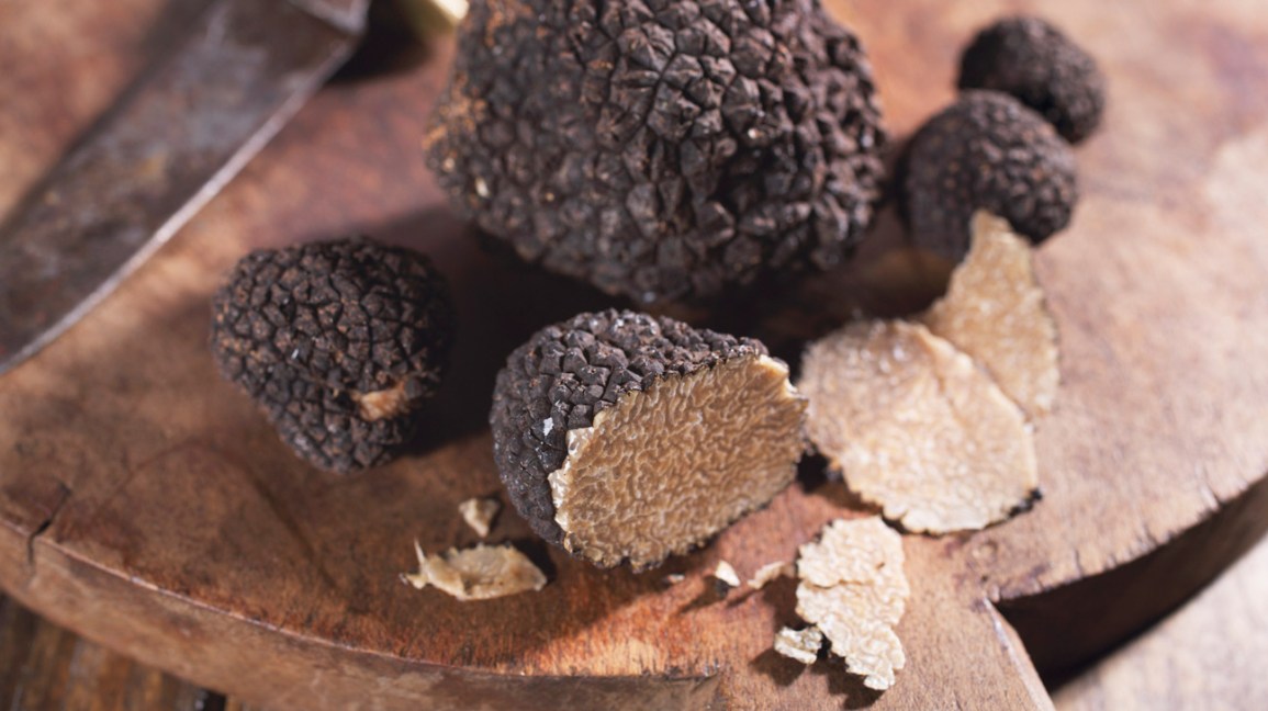 Truffle Logo