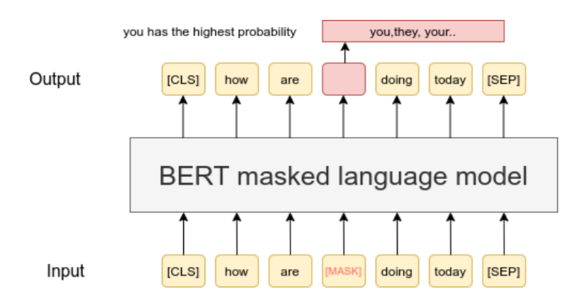 BERT Masked Language Model