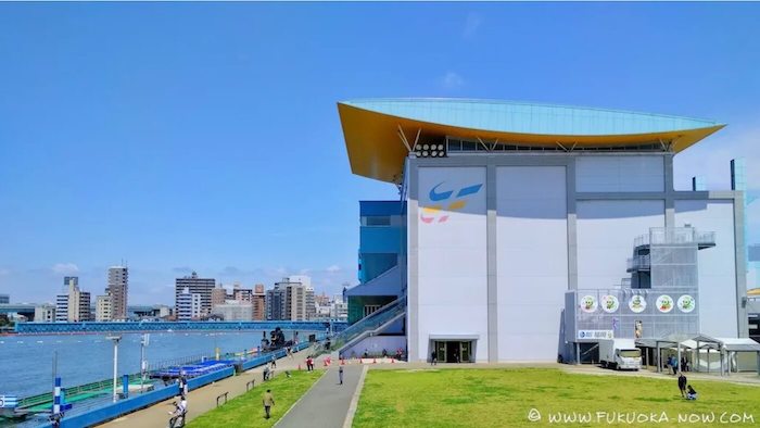 ボートレース福冈 SGチャレンジカップ 赏金6位 峰竜太