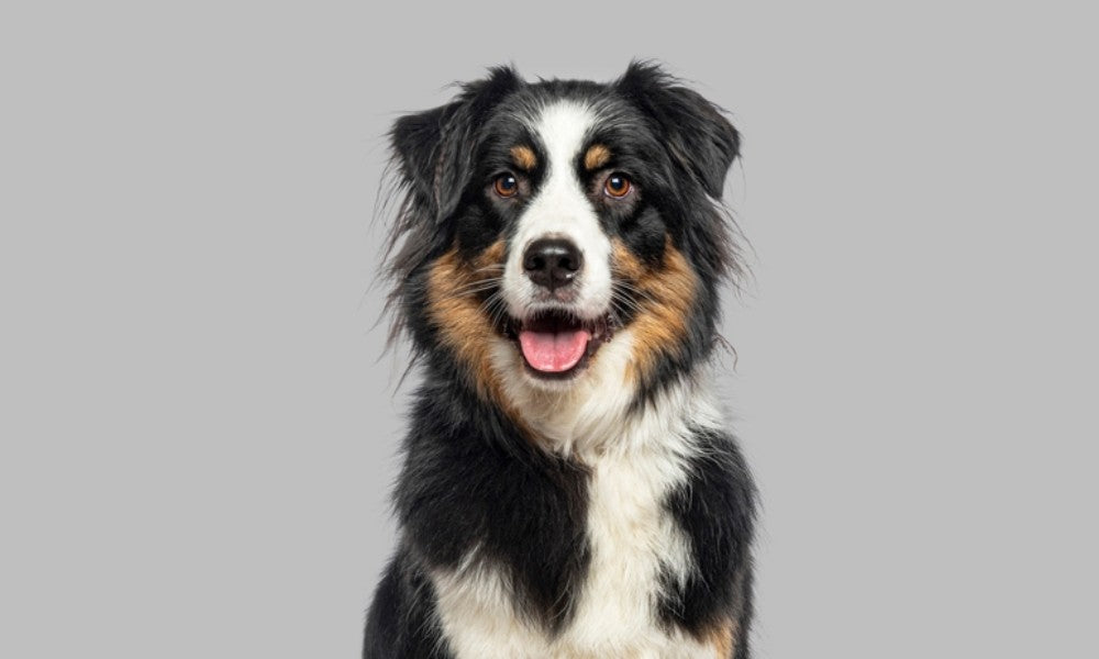 Trend visualization for chien