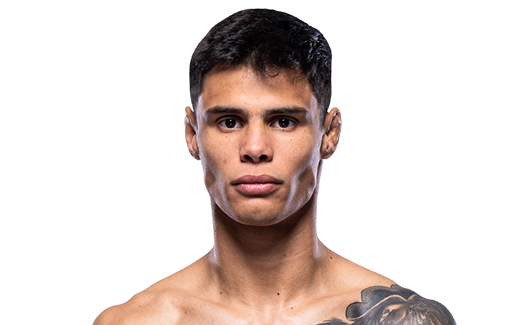 Trend visualization for daniel zellhuber