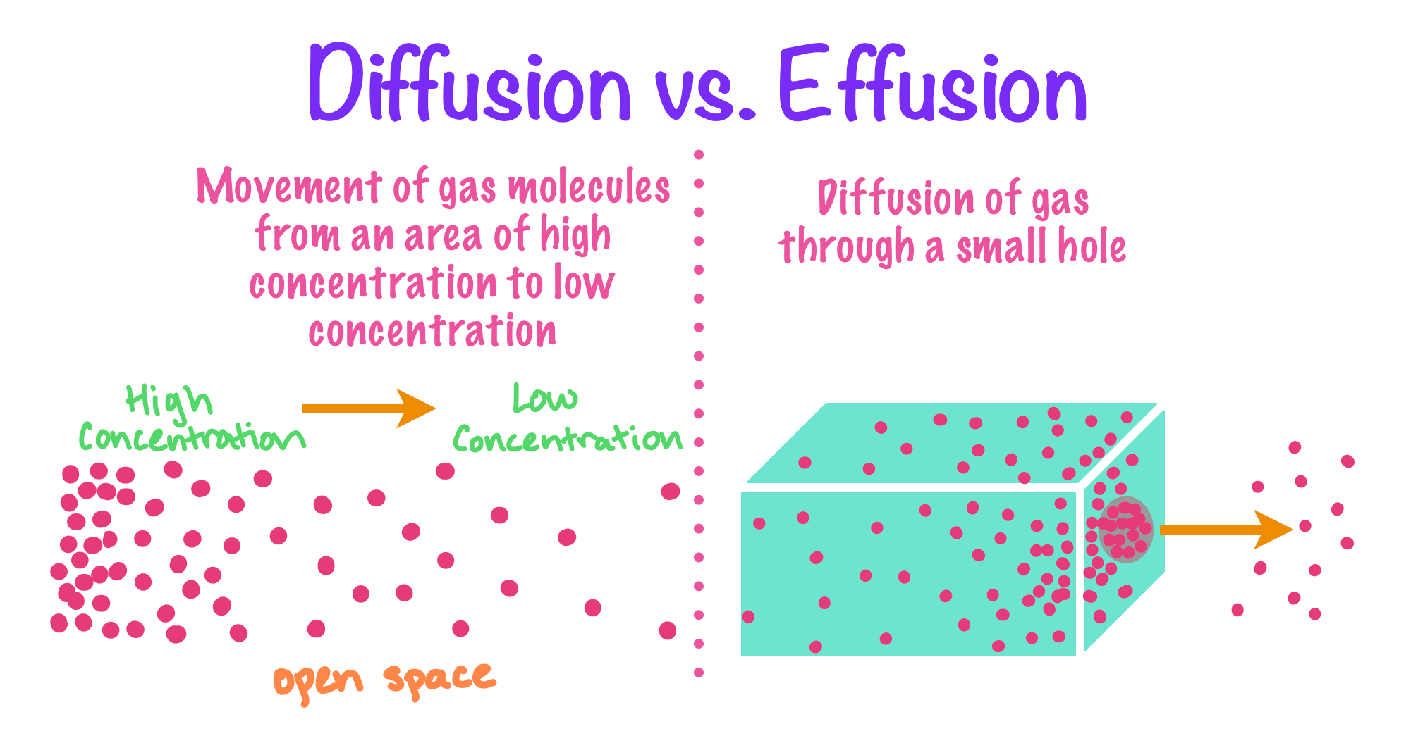 Diffusion Transformer Model