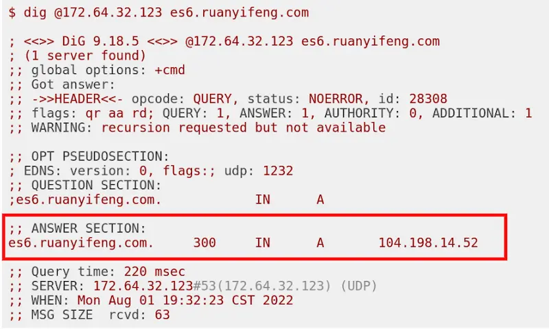 DNS 查询结果