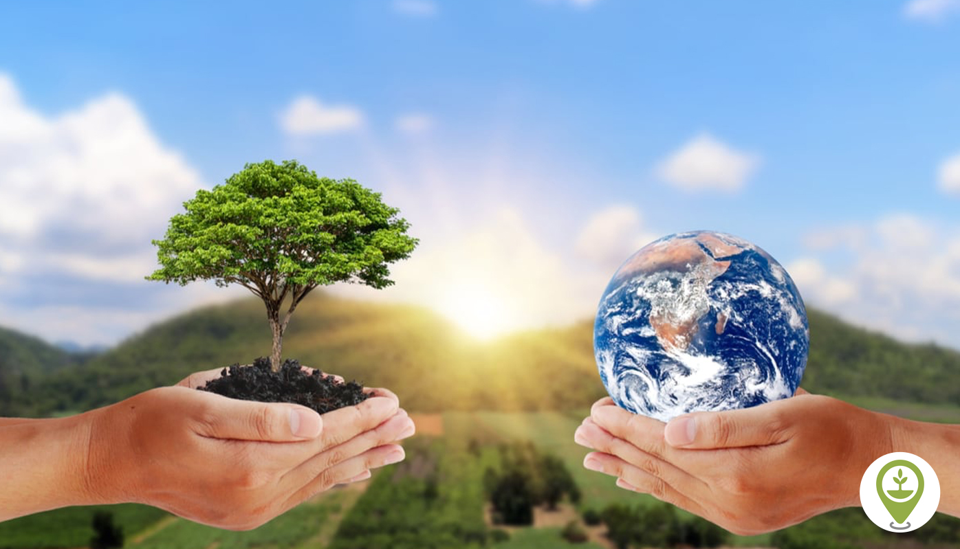 Environmental_Updates