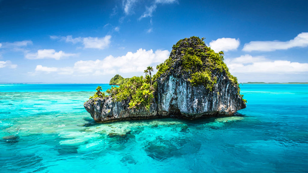 Trend visualization for fiji