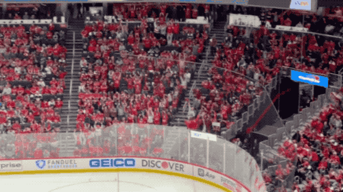 hockey arena crowd cheering panthers capitals game