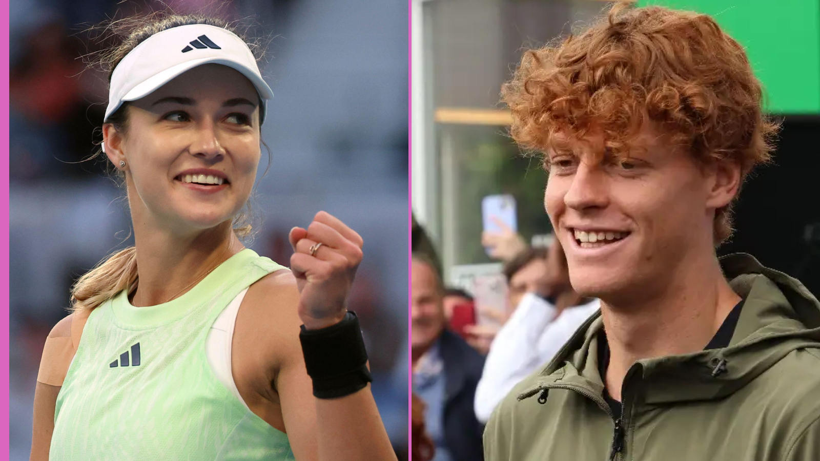 Trend visualization for jannik sinner wife