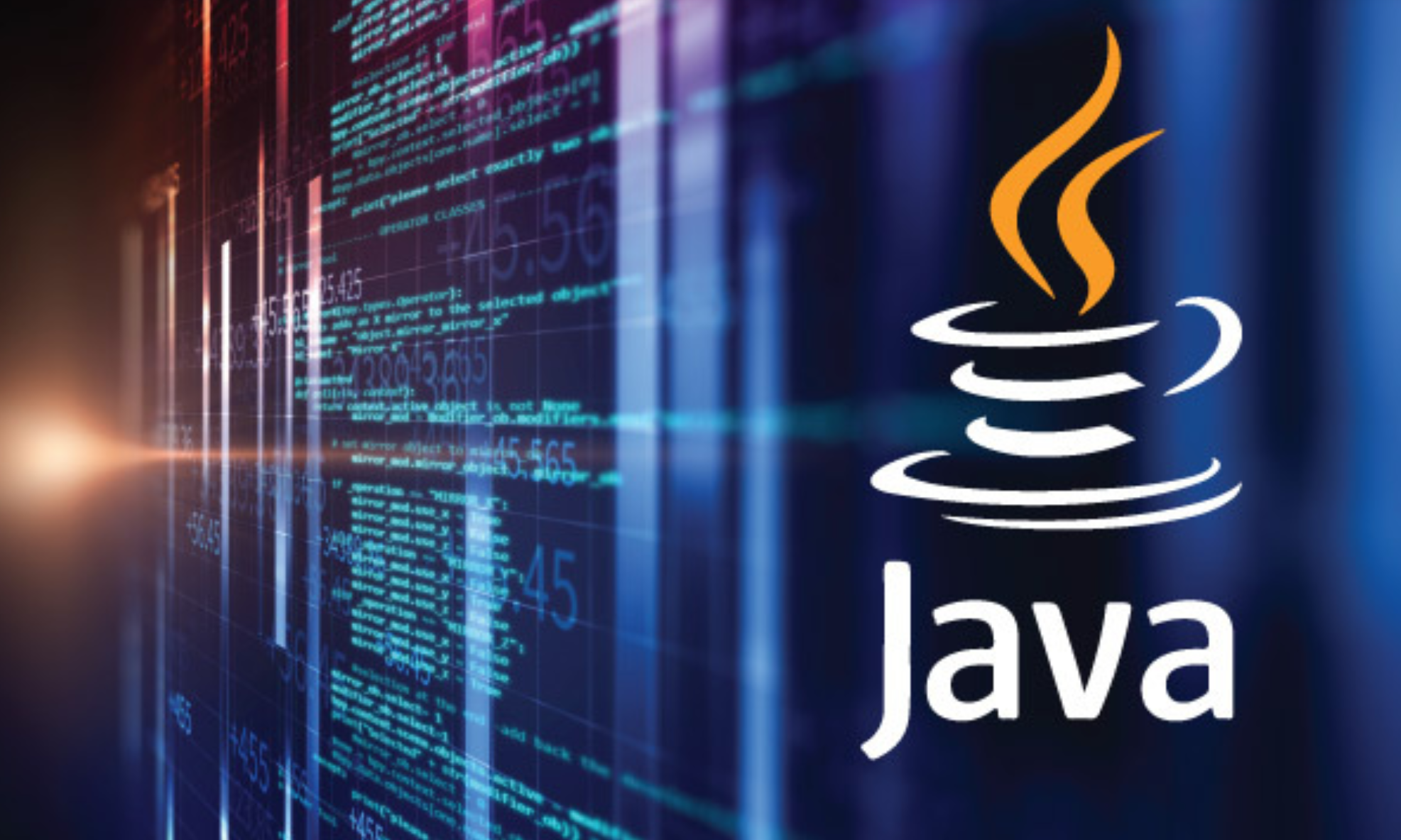 Java Programming Language