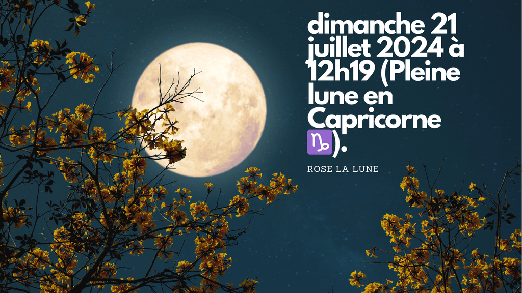 Trend visualization for lune 12 juillet 2025