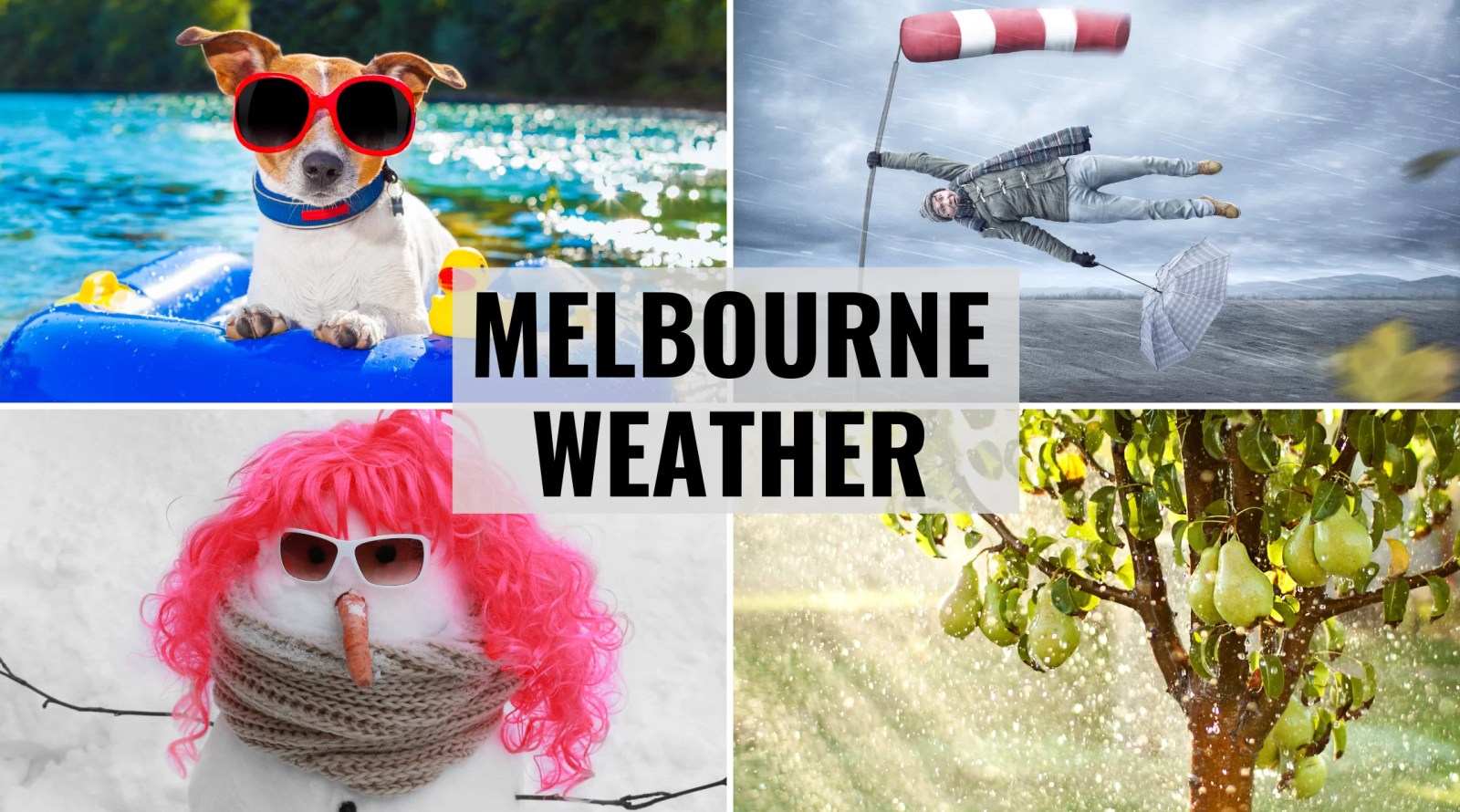Trend visualization for melbourne weather today