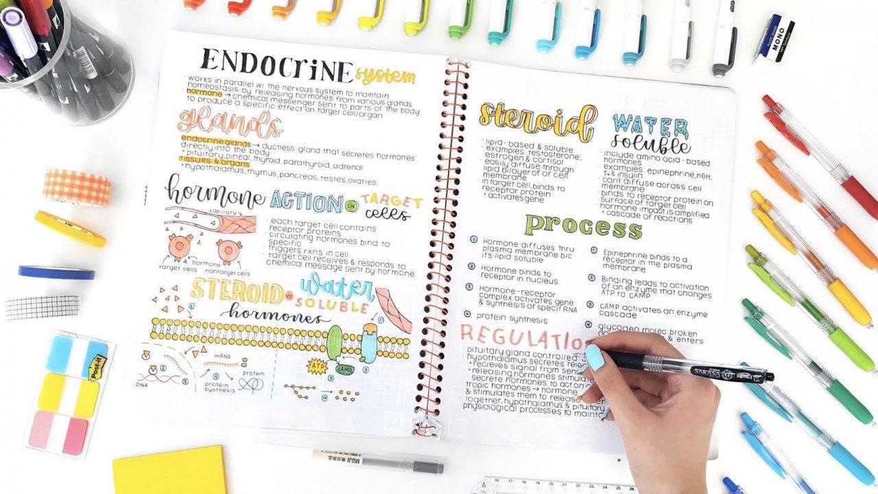 note_organization