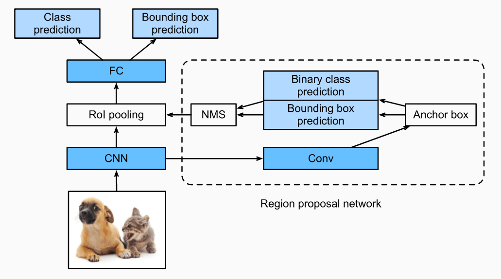 Object Detection Algorithms