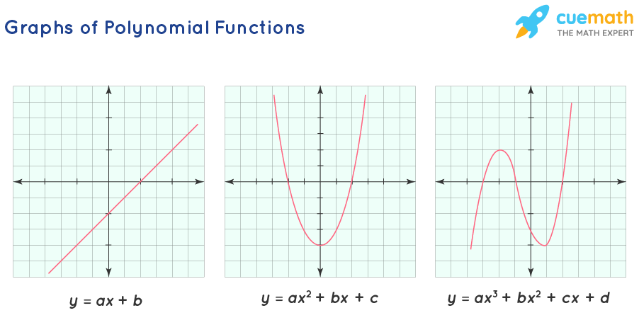 Polynomial Graph