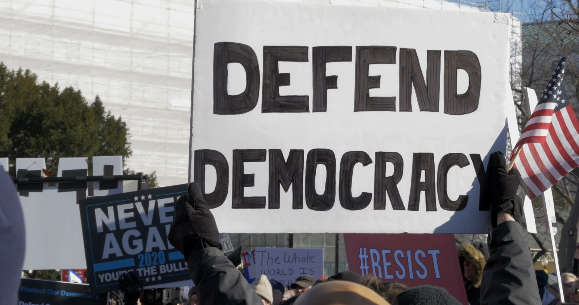 Protest Signs Democracy