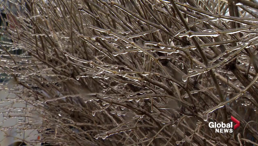 Trend visualization for quebec power outages freezing rain