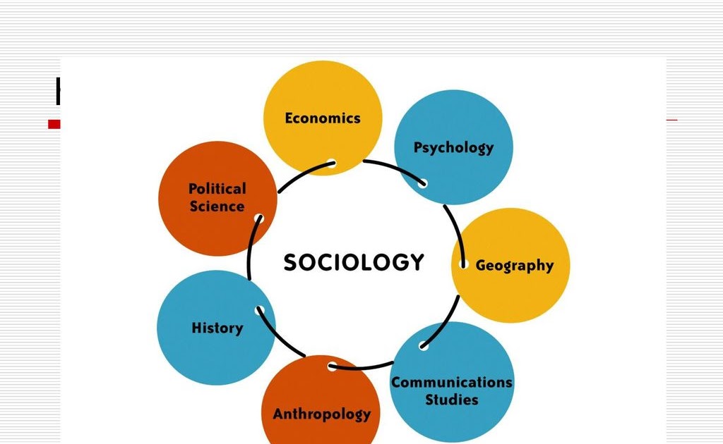 sociology_study