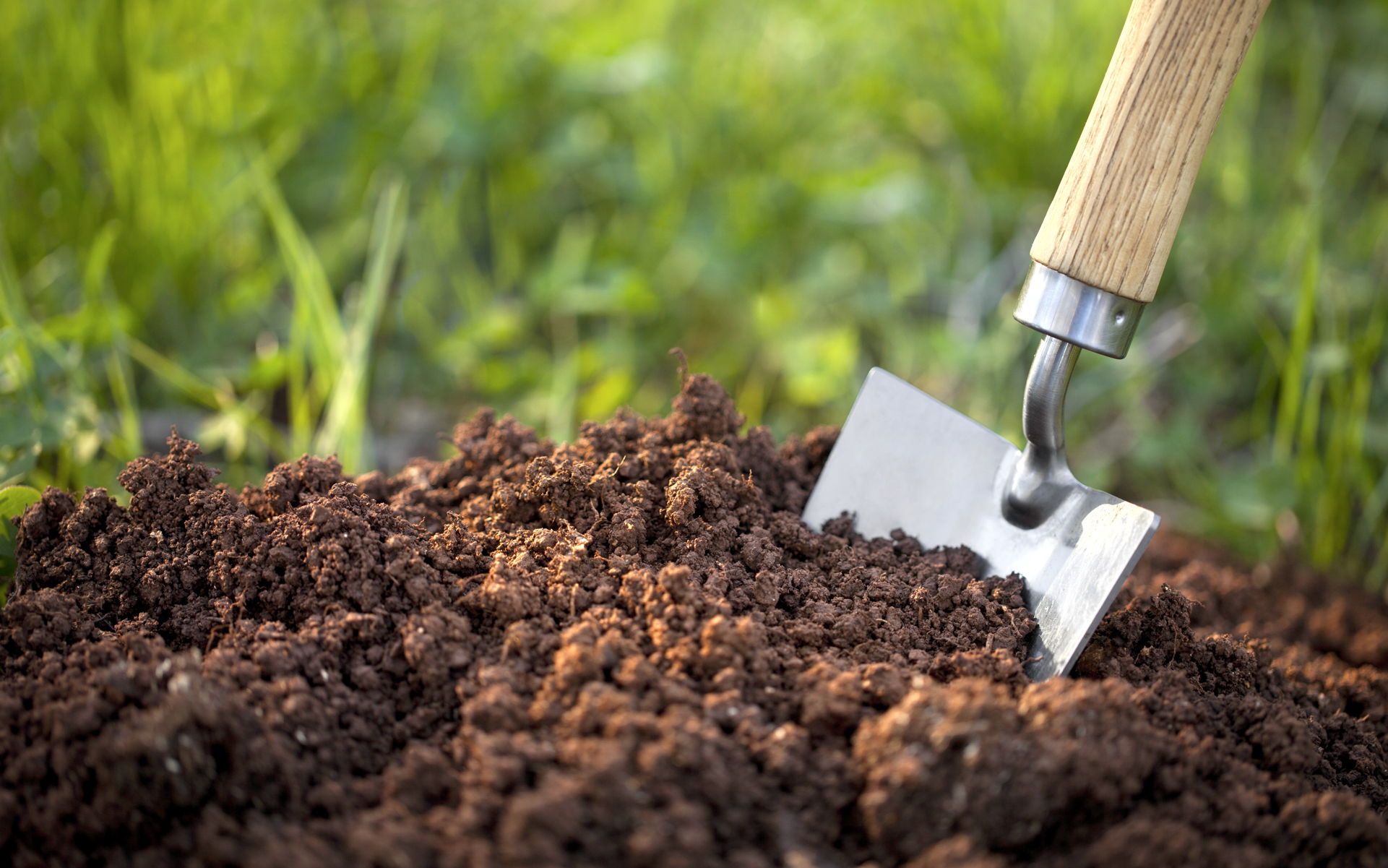 soil_preparation