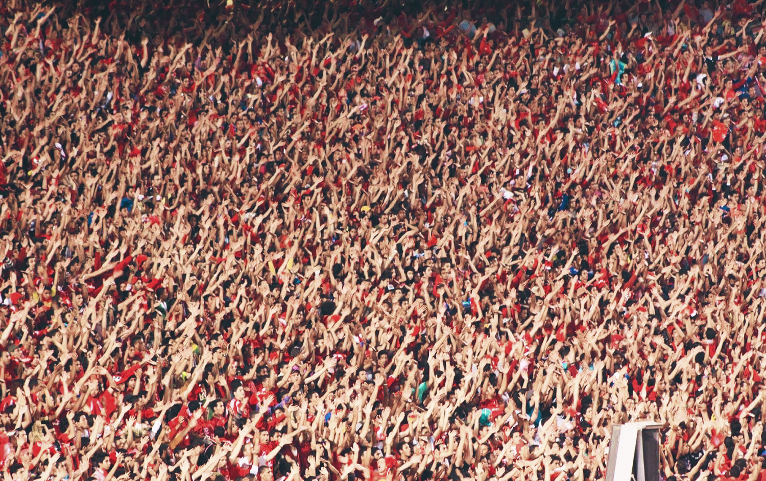 supporters football al ahly