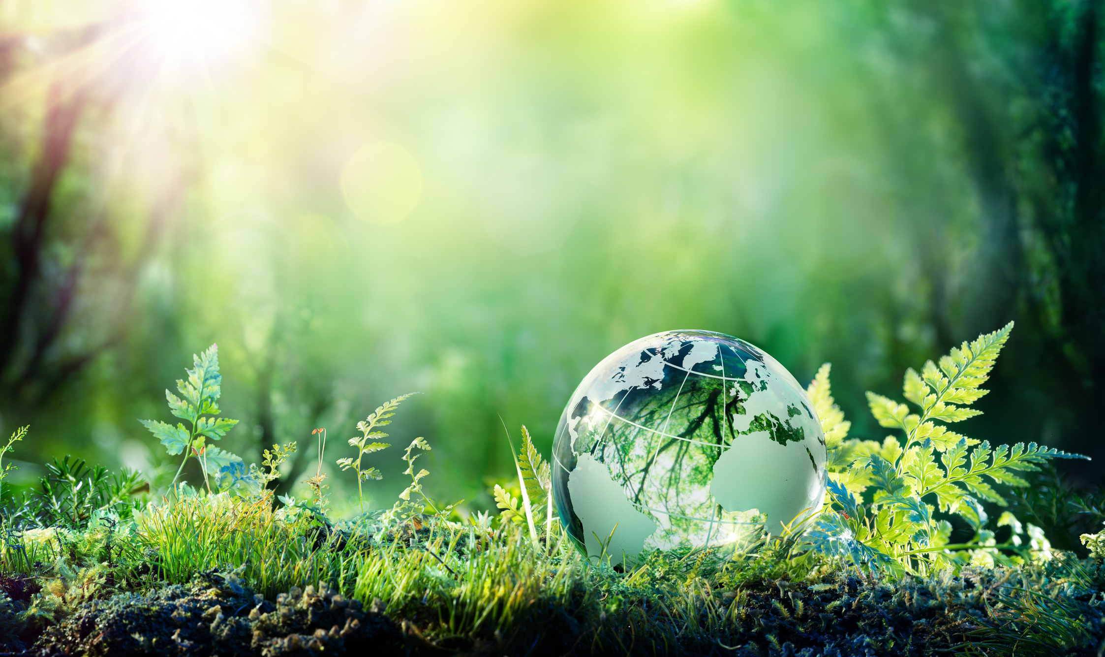 Sustainable Agriculture Initiative