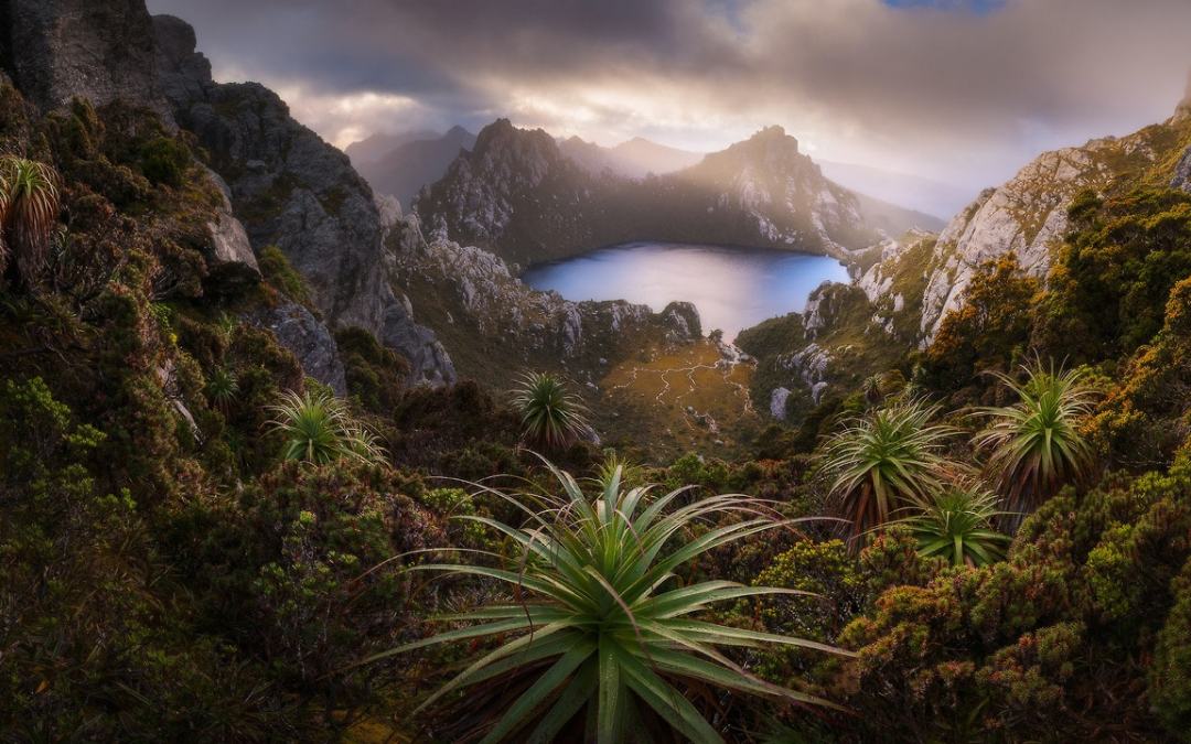 Trend visualization for tasmania police