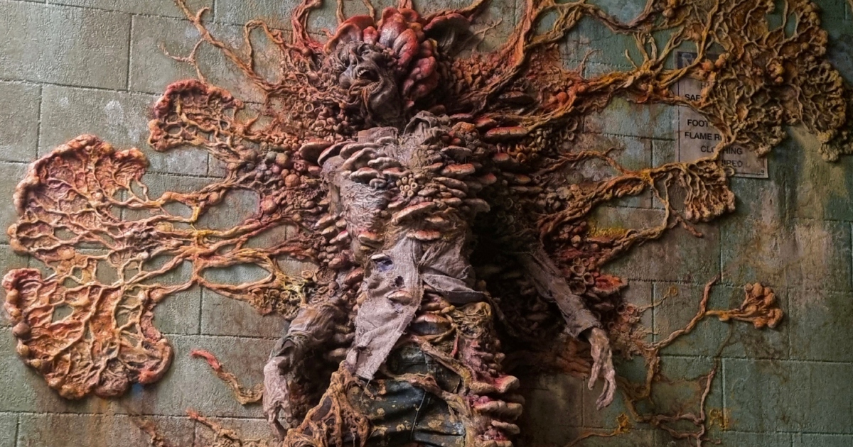 The Last of Us champignons cordyceps