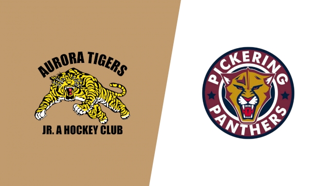 Trend visualization for tigers vs panthers 2026