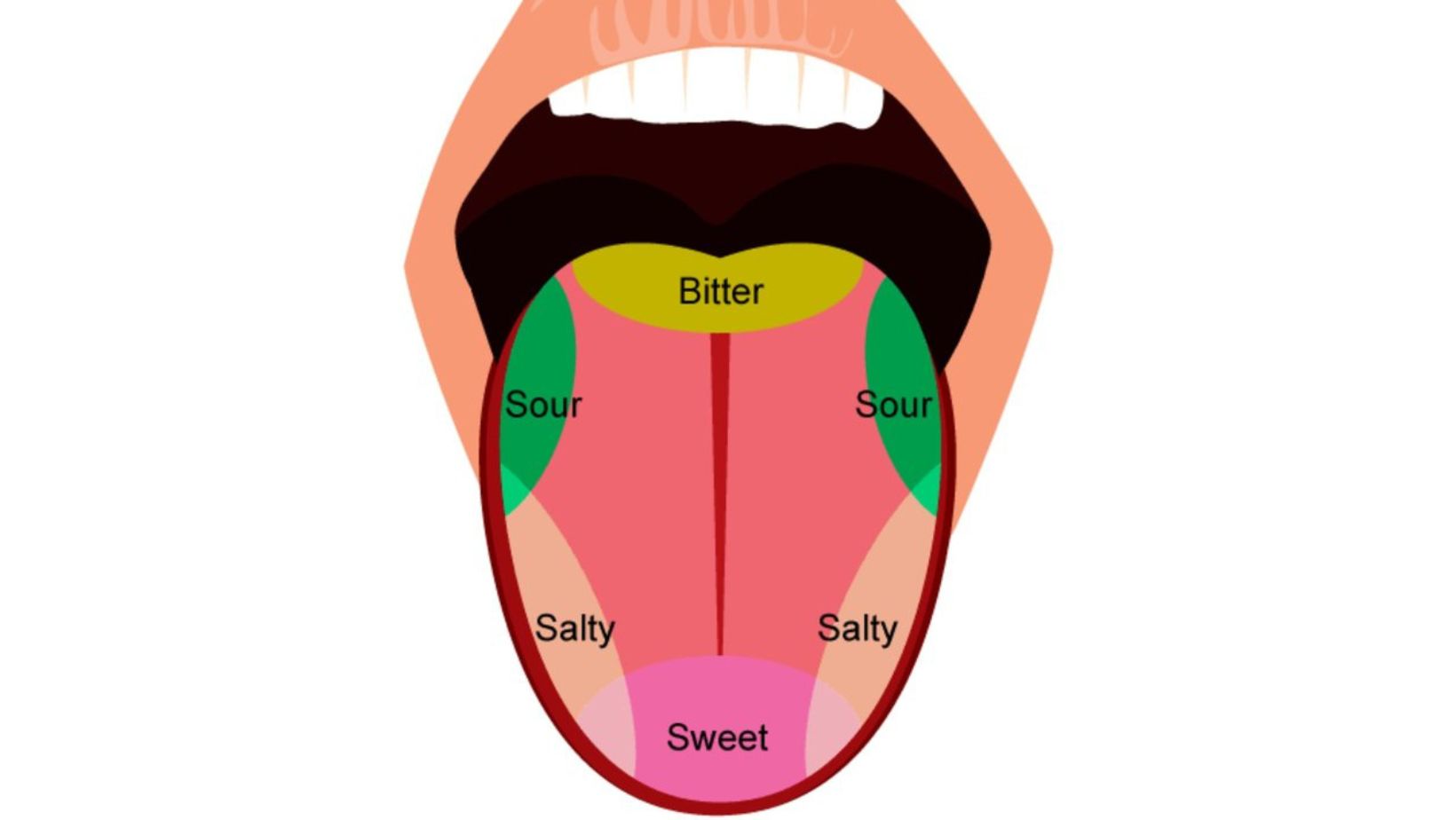 tongue_tip