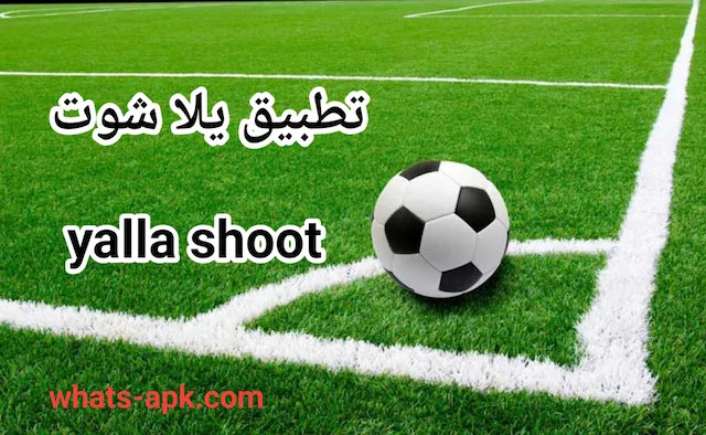 Trend visualization for yalla shoot