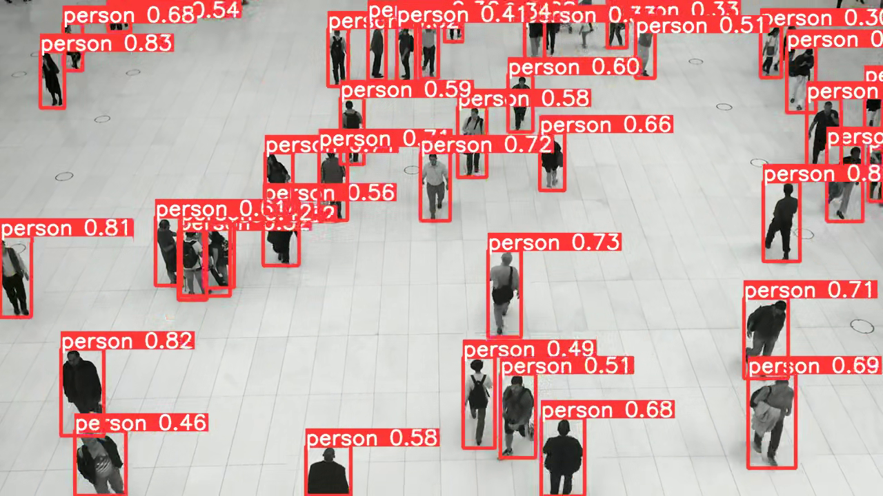 YOLOv5 Detection
