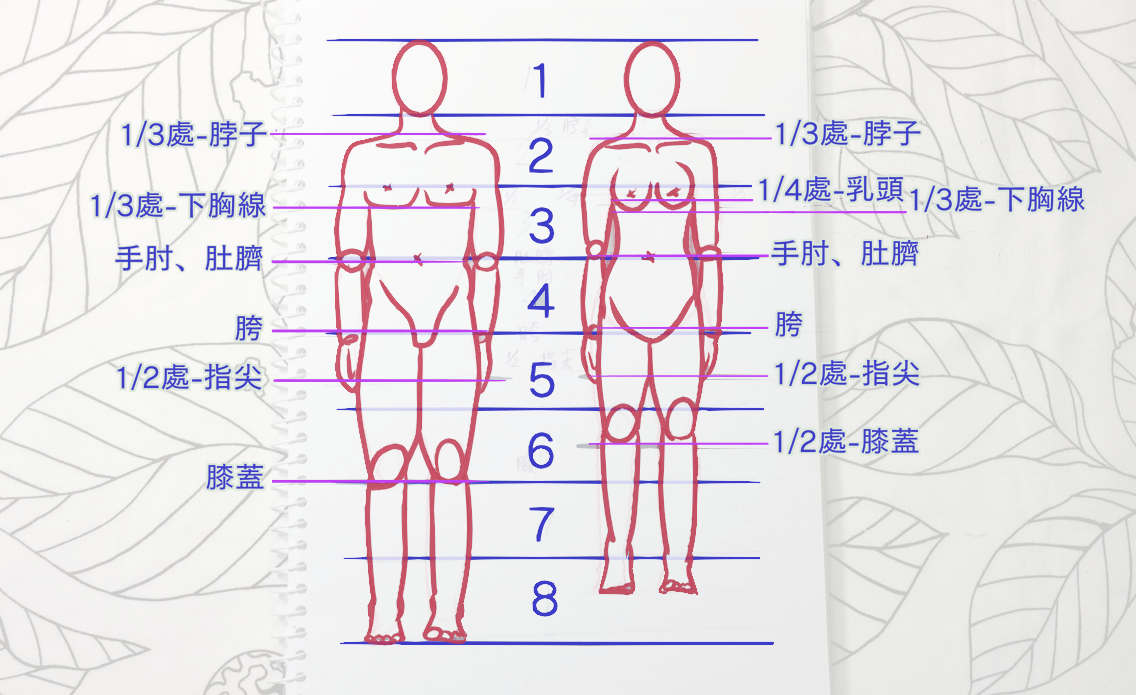 人物比例