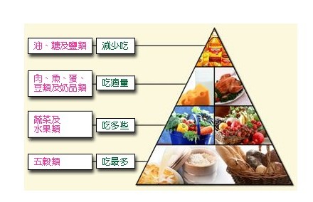 午餐_营养均衡